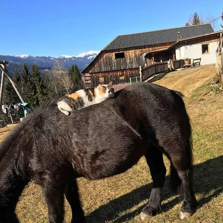 度假居 Panoramachalet Buchholz *